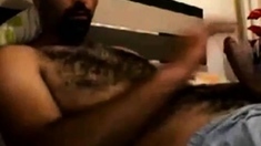 Str8 daddy so hairy so horny