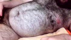 Fascinating mature Bear masturbating Part 2 doing a Cam Show