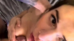 Amateur BJ Oral POV Blowjob Cumshot