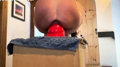 Amateur anal CLOSE UP banging