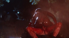 Cima Black And Ebony