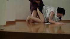 Japanese Housewives Drama